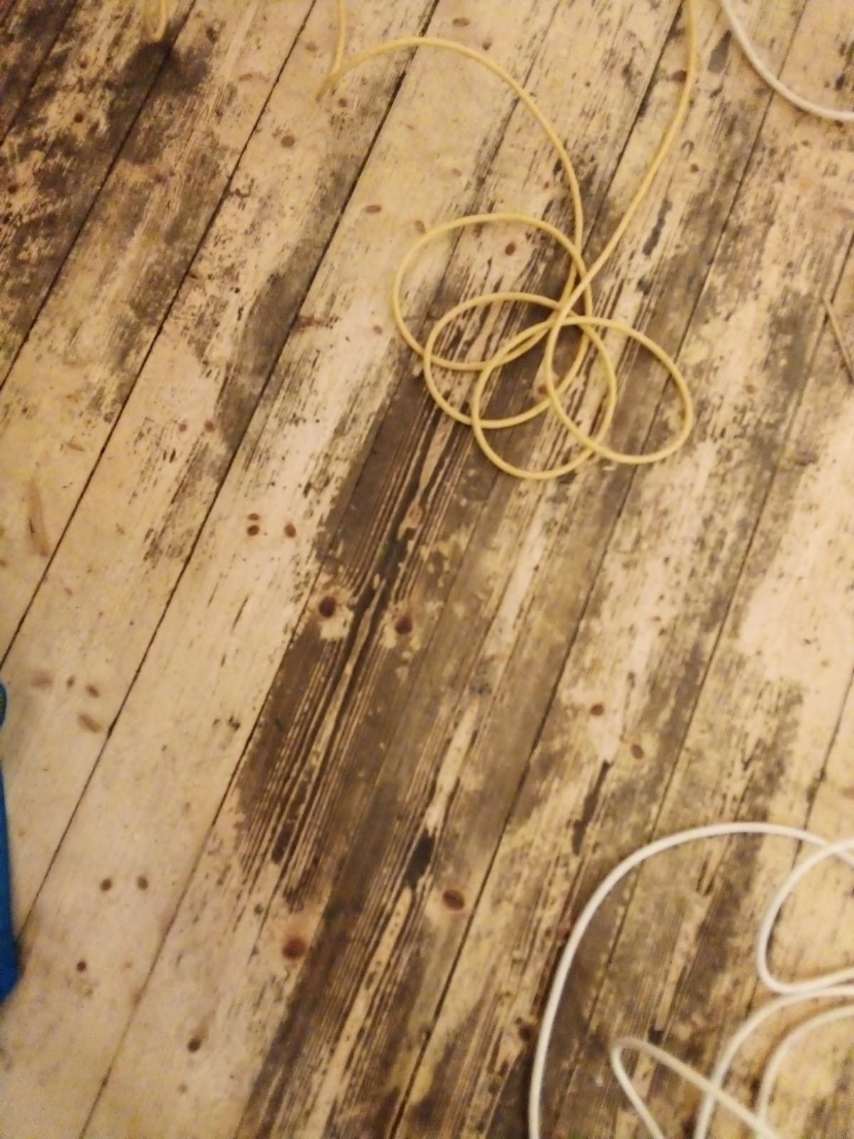 pavimenti in legno